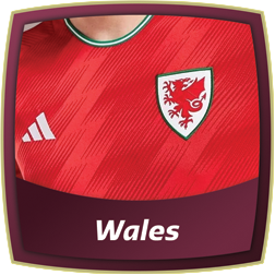 Wales World Cup