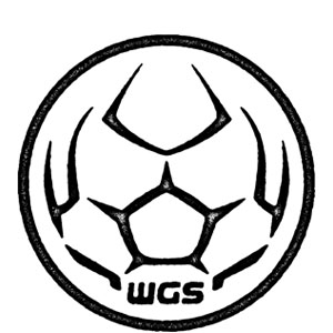WeGotSoccer Team Soccer