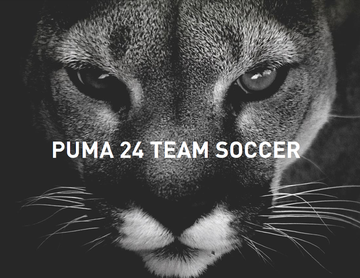 Puma 2024 Team Soccer Catalog